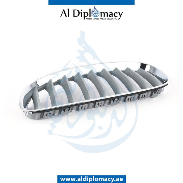 Left SHOW GRILLE for Z4 SERIES 2012-2017 models, Part Number 51137181547